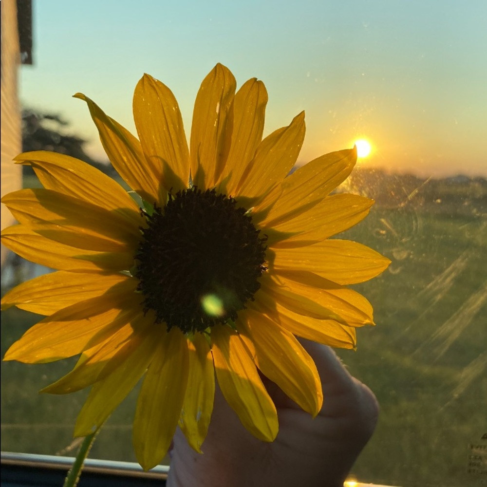 Meet your Posher, Molly